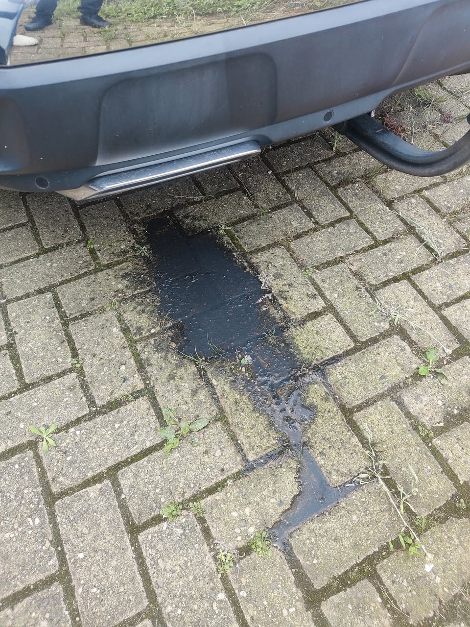 Reiniging Peugeot